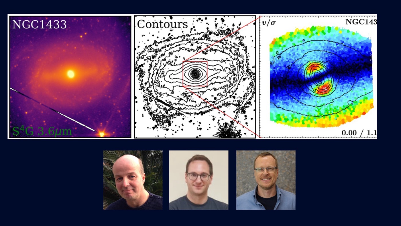 Disques stellaires nucléaires